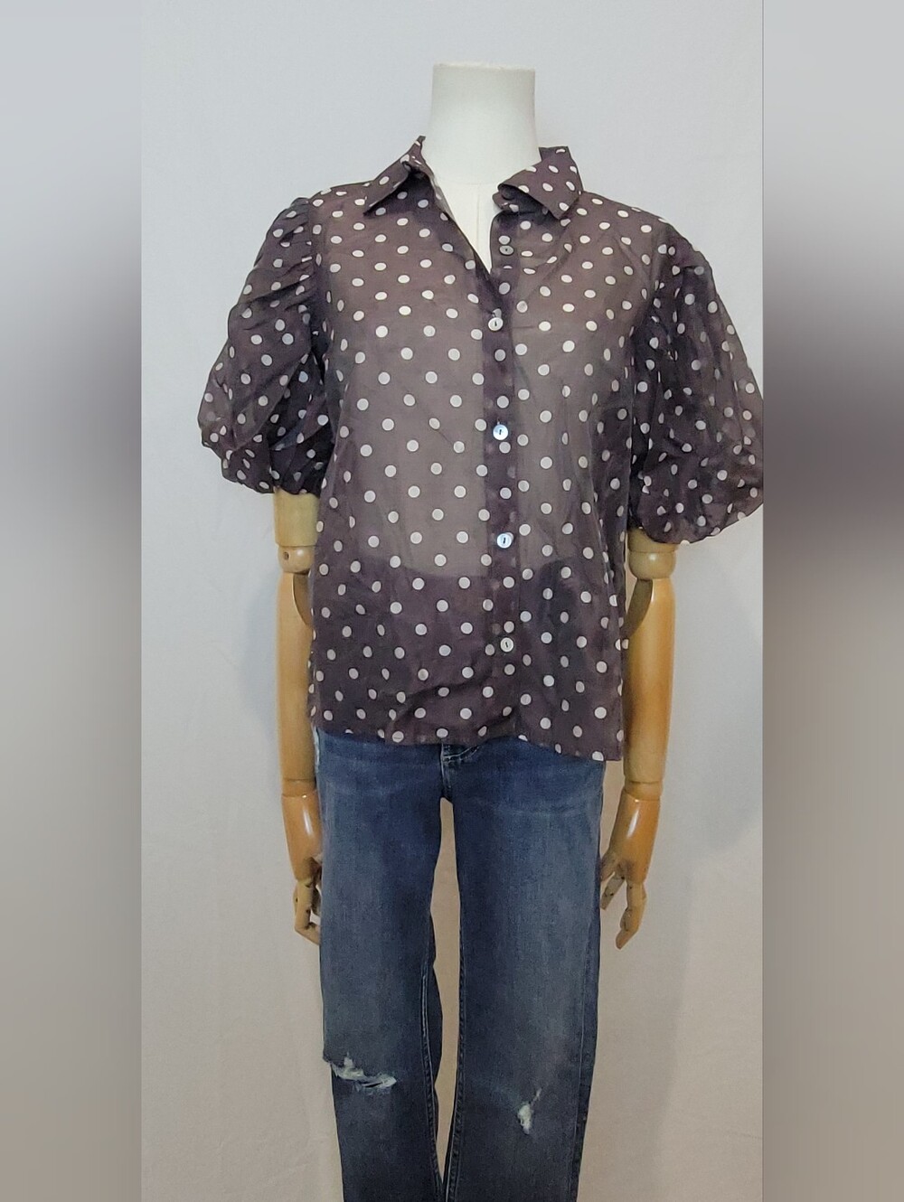 NWT Lucky & Coco brown polka dot sheer shirt, Size Small